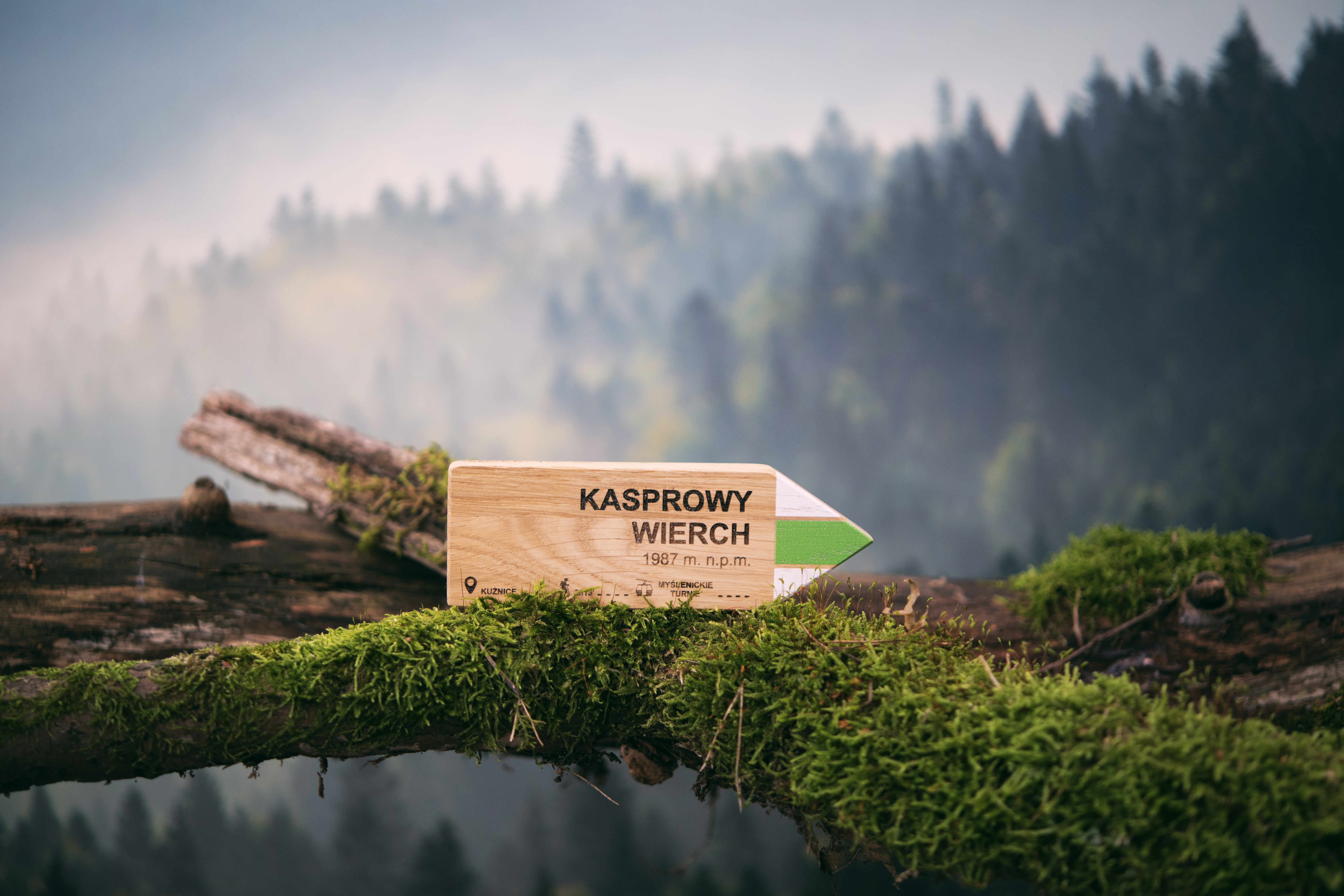 dekor KASPROWY WIERCH